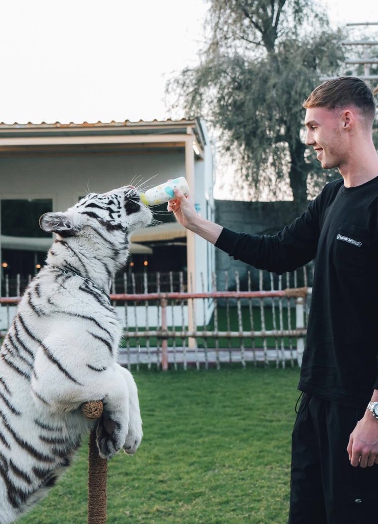 Fourteen Admirals tweet media