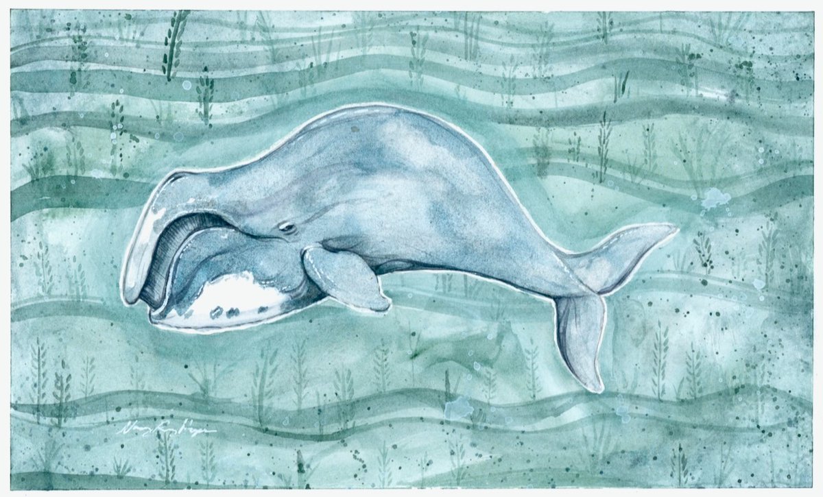 A bowhead whale painting for my Patreon Subscribers for the month of March <3 'Our Garden' #Inupiaq #indigenous #whale #watercolor