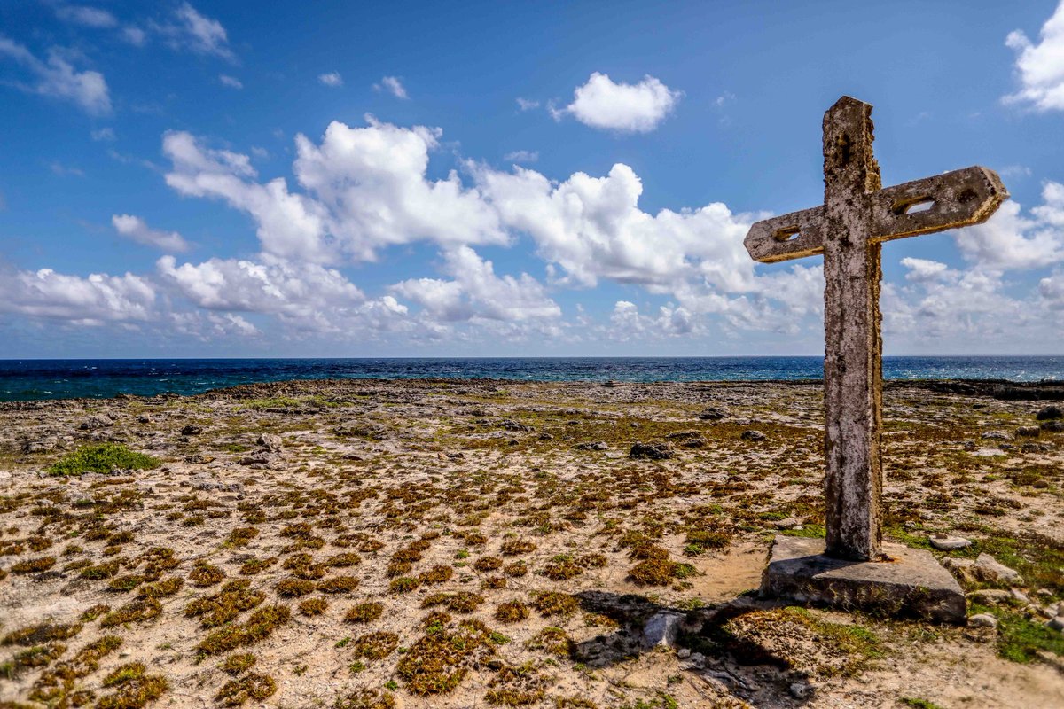Xensma1's tweet photo. No man's land #guadeloupe π¬π΅ #caraibes #travelphotography #travelphoto #travelpic #Travel #Photography #photo #dailyphoto #photooftheday #landscapephotography #sunsetphotography
#500pxrtg #500px #RTDSLR #PintoFotografia #dailypics #passionpassport https://t.co/wb1snez2fS