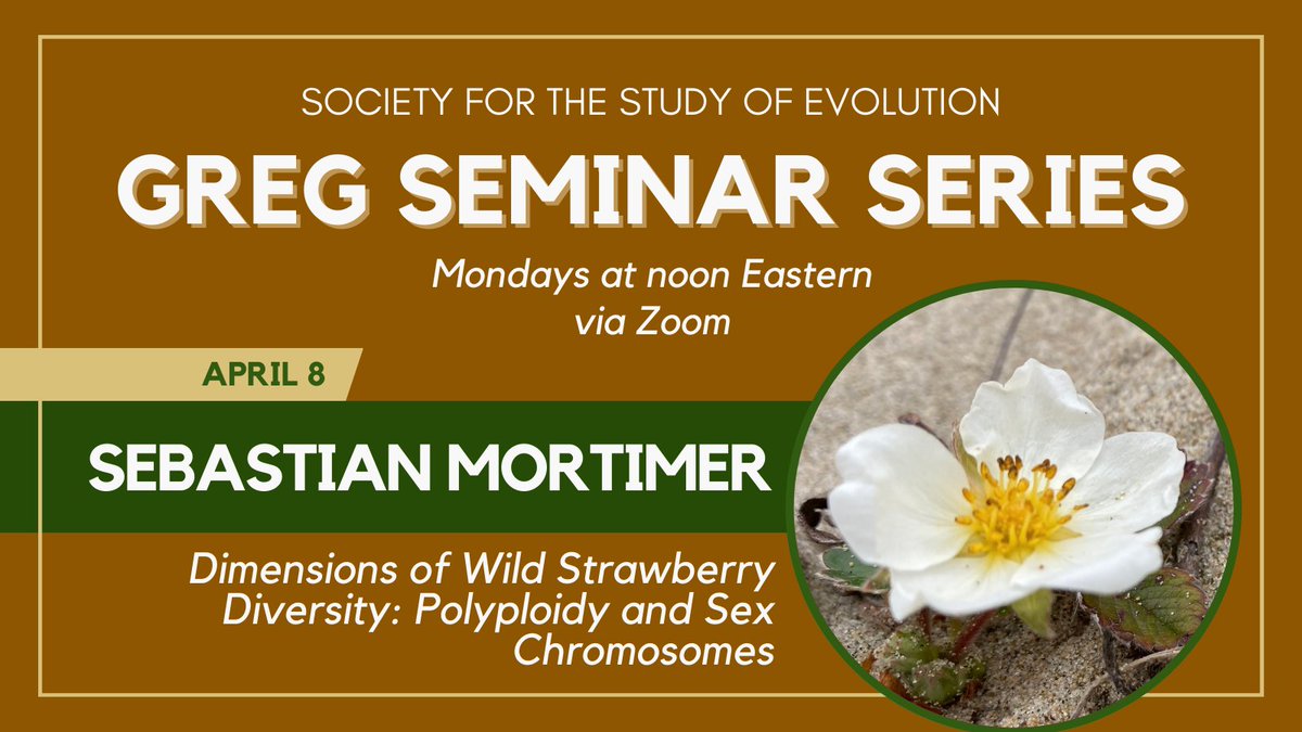 Join us Monday at noon Eastern for the next talk in our GREG Seminar Series! SSE student grant recipient Sebastian Mortimer will present “Dimensions of Wild Strawberry Diversity: Polyploidy and Sex Chromosomes.” Zoom link and full schedule here: evolutionsociety.org/meetings/greg-… @SSEgrad