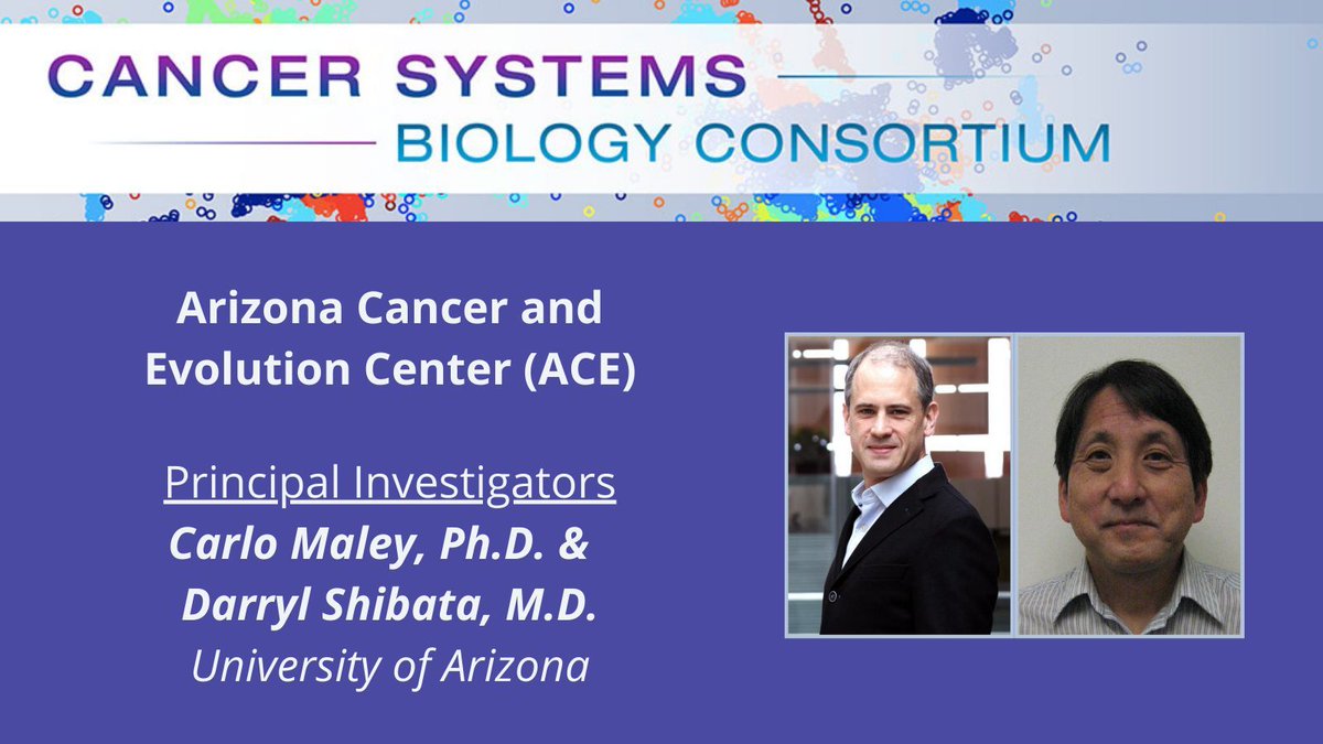 Researchers @ace_arizona #NCICSBC, including @cmale, @AthenaAktipis, @amy_boddy, @cncurtis, @trevoragraham, et al. are advancing our understanding of cancer through the application of evolutionary and ecological models to #CancerBiology. cancer.gov/about-nci/orga…