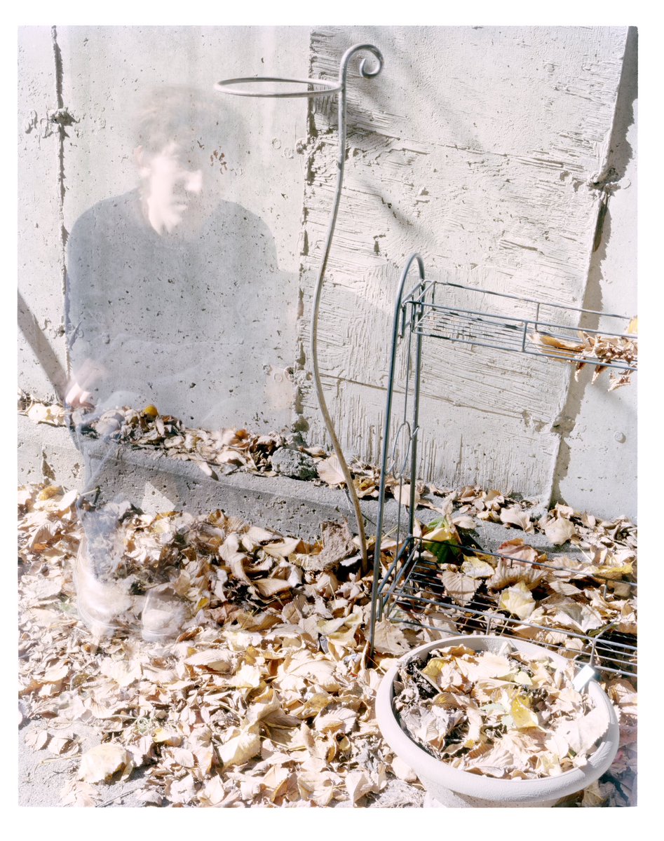 1noshape's tweet photo. large format photography work https://t.co/BDlv4vfoph
