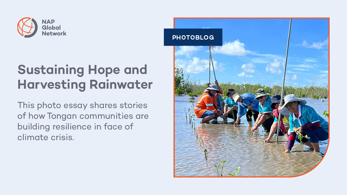 Learn how 🇹🇴Tonga is doubling down on #climatechange #adaptation action to boost communities’ water access and agroforestry. 📢Let's amplify these efforts and inspire action! Read more 📸👉 napglobalnetwork.org/stories/sustai…