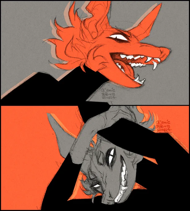 Barracuda face 