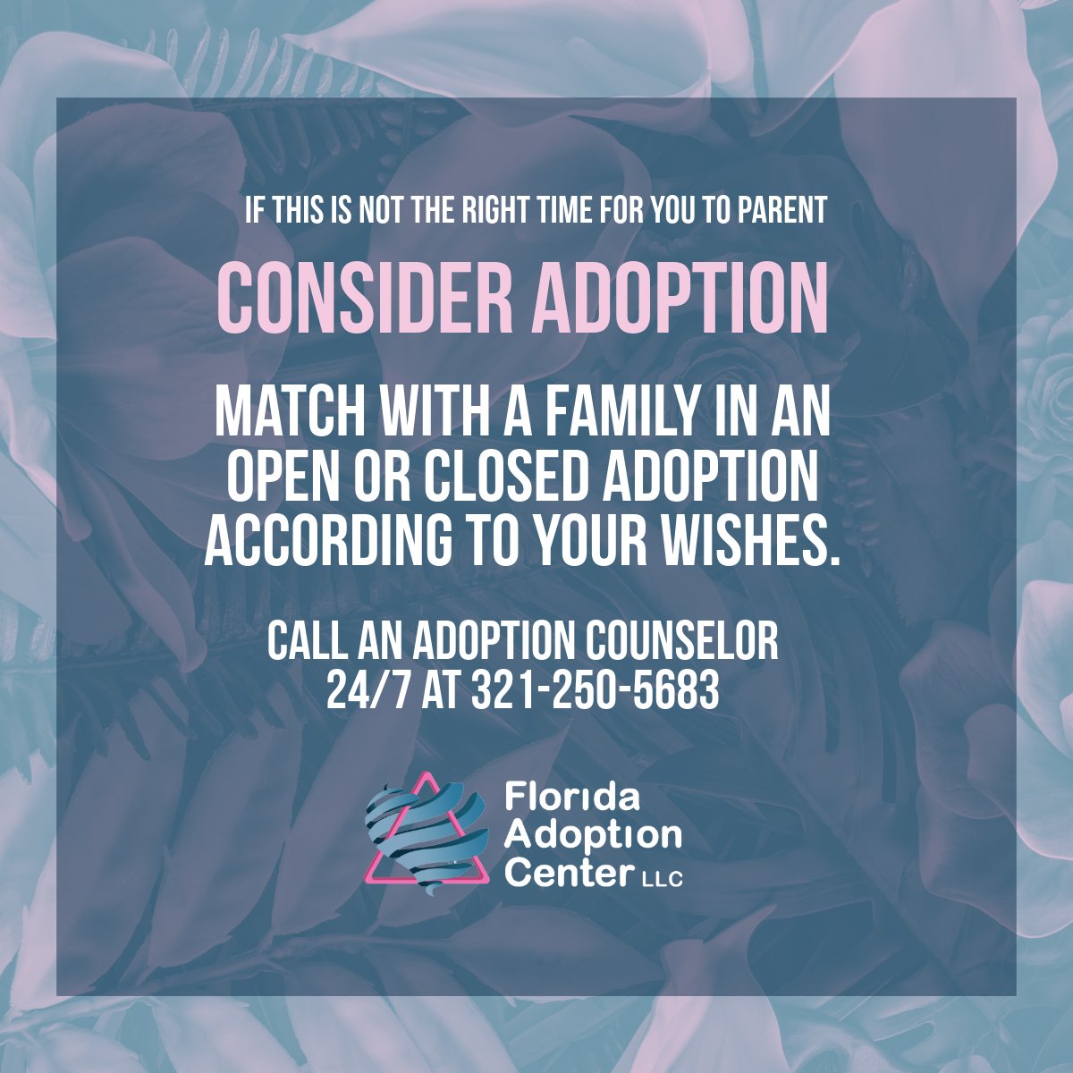 Explore adoption options with no pressure. 

At Florida Adoption Center love makes a difference!

#FloridaAdoptionCenter #AdoptionSupport #AdoptionInformation #AdoptionEducation  #AdoptionInspiration #AdoptionJourney #FloridaAdoption #AdoptionAgencyFlorida #OpenAdoption
