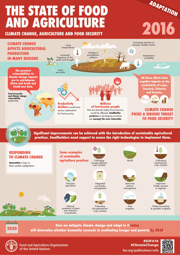 EM203Ssharar's tweet photo. Problem Identified: Climate Change leading to food insecurity
Picture created by: https://t.co/f1B2mD1UC4 https://t.co/EeMHsgBJuZ