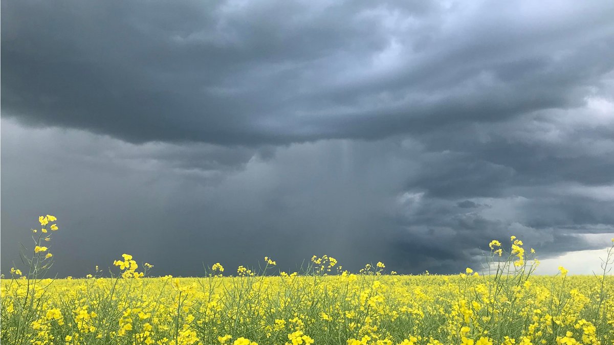 It’s time to select insurance coverage on your annual crops for the 2024 growing season. Check out what's new this year and make your Annual Crop Insurance elections at your convenience online in AFSC Connect: bit.ly/49BmRtp #ABag