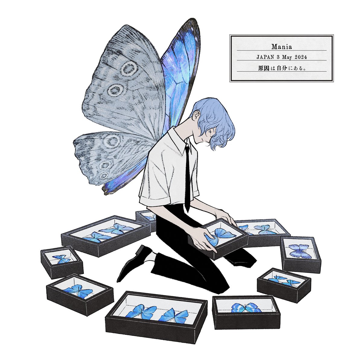 indoors blurry no humans window bug butterfly blue butterfly general  illustration images