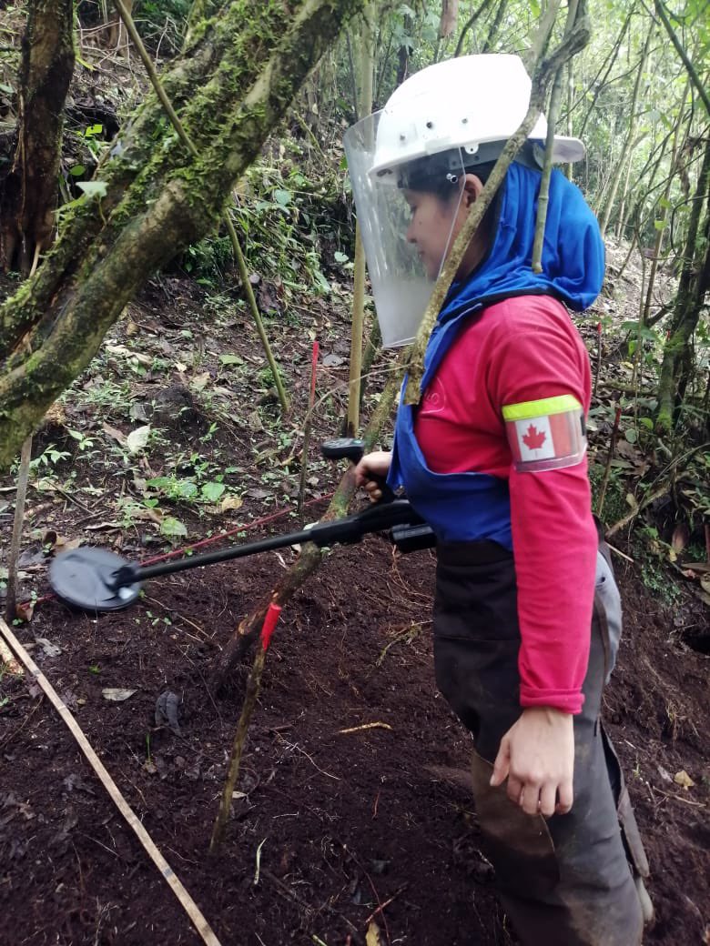 En el #DíaContraLasMinasAntipersonal reconocemos el desminado humanitario como acción clave para reducir accidentes, mejorar el acceso a tierras y a oportunidades económicas. Gracias @TheHALOCol por crear caminos más seguros hacia la paz y el desarrollo. 👉youtu.be/BGr8k7r3Tvw