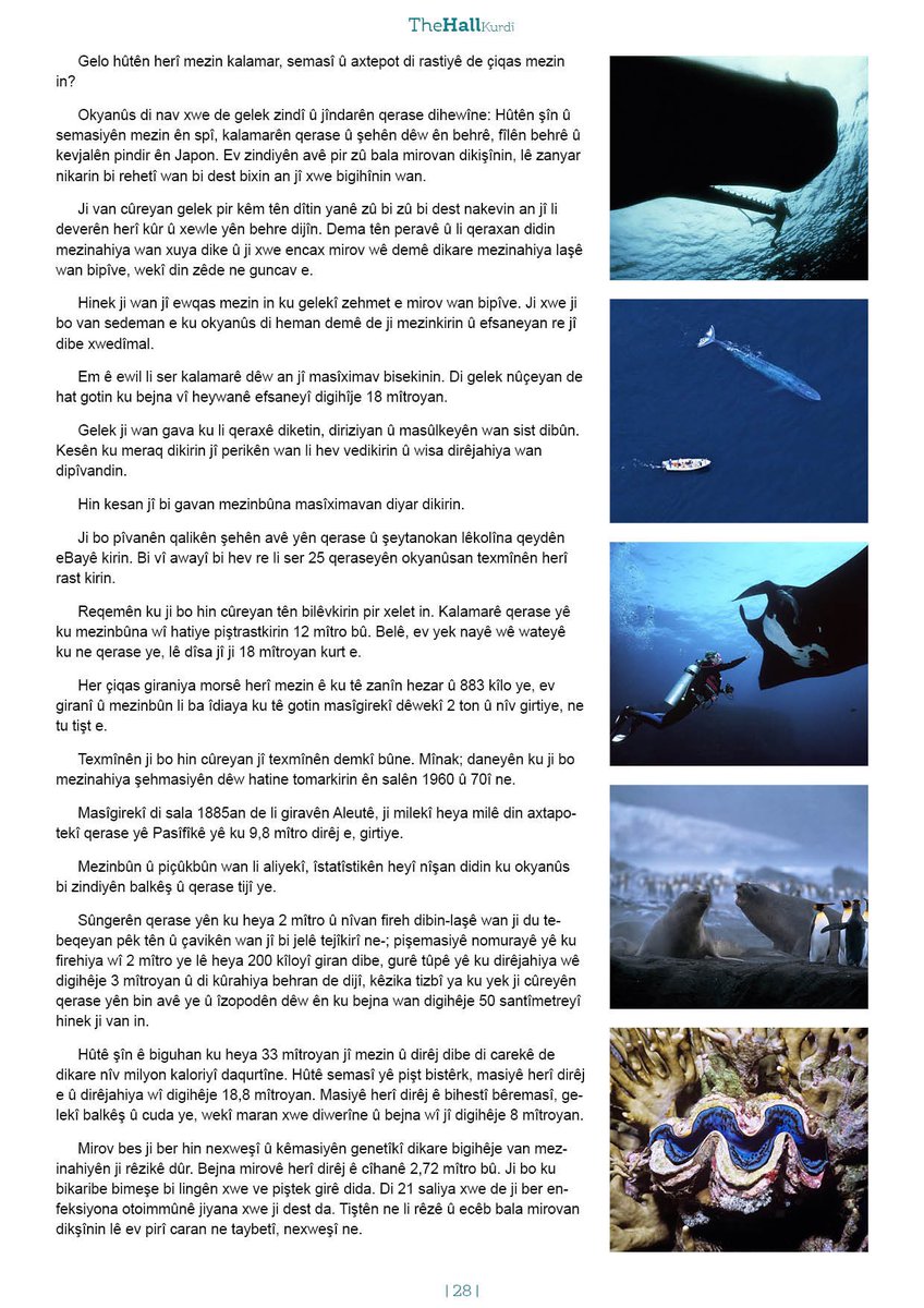 RaisingKurds's tweet image. DÊWÊN DERYAYAN

Digikurd Nivîsî ✍️

📍thehallkurdi.com/dewen-deryayan/

#derya #ocean #whale #shark #magazine #kurdish #london