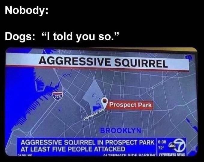 Dogs and @davidfarrier know the score