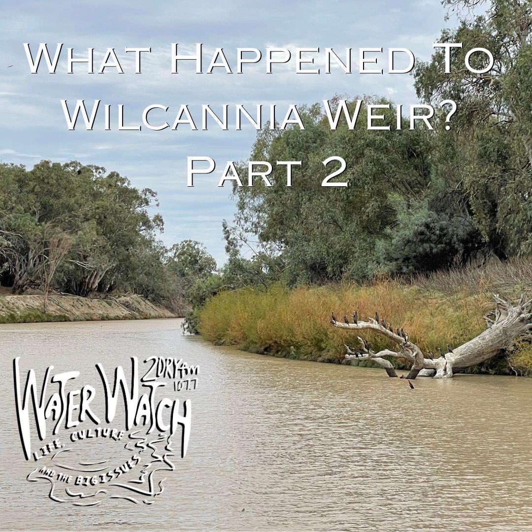 Wilcannia Weir or Wilcannia won’t? 2 part deep dive into the story of communities effort to get a new town weir and why everything they wanted is getting drowned out? Listen wherever you get your podcasts Search “water watch radio” #auspol #FirstNations #waterrights @CBAA_