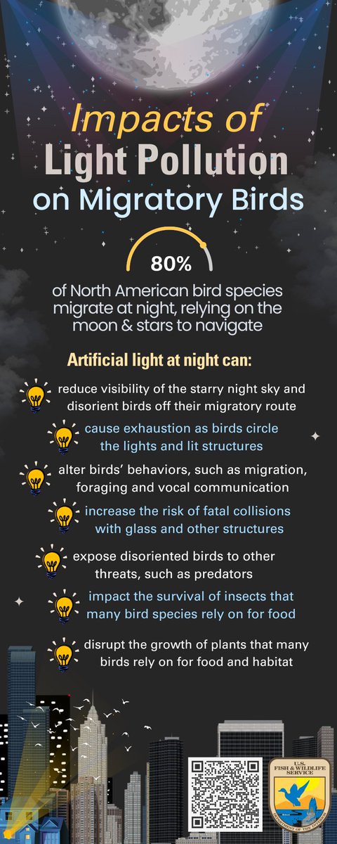 It's #InternationalDarkSkyWeek💫Did you know, most bird species migrate at night? They use the starry night sky to navigate flyways they've evolved to follow for generations! If we #DimTheLightsforBirds we help them travel safely & minimize #LightPollution 📷Rosalie Wetzel/USFWS