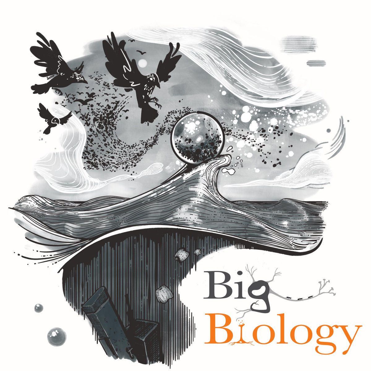 💭At what levels does causation happen in biology? Are metaphors are useful for understanding biology?💭 📖 In this episode, we talk with Phil Ball, a science writer who was also an editor for the journal Nature for over 20 years. …(1/3)