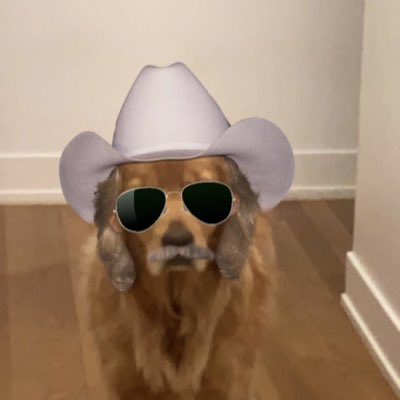 Best Picture Winner tweet media