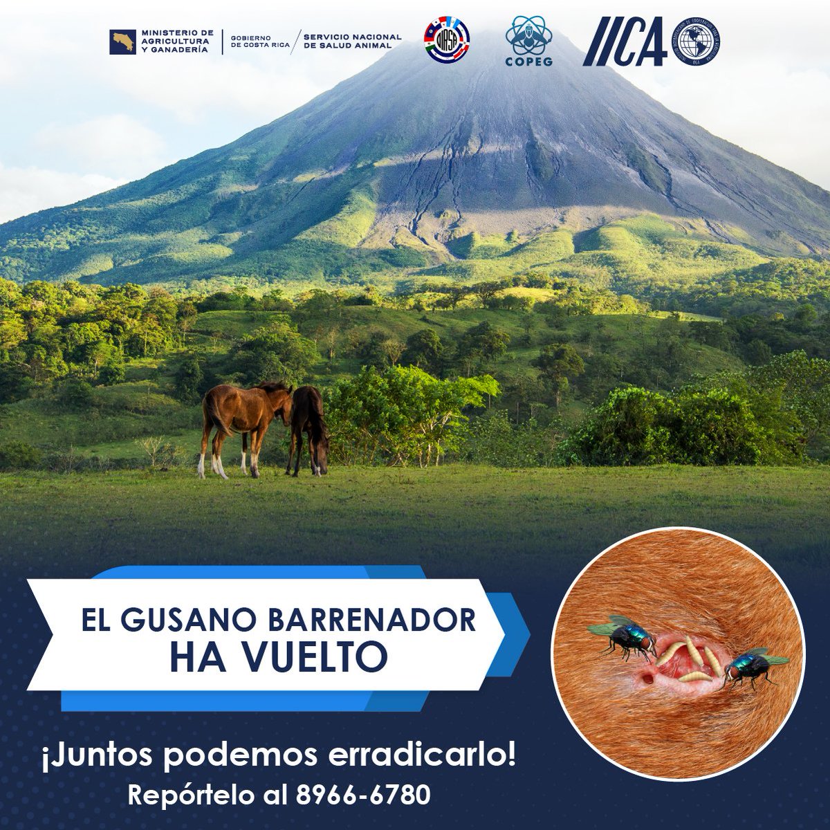 Cámara Nacional de Productores de Leche tweet media