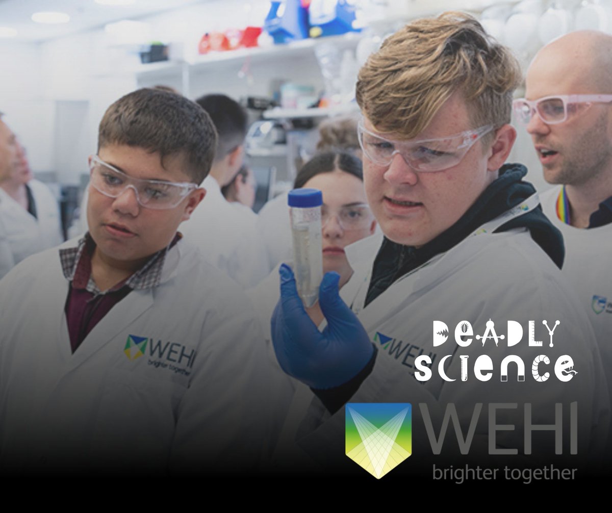 DeadlyScience® would like to acknowledge the incredible partnership that we have with @WEHI. This partnership facilitates our DeadlyScience Pathways ® program, addressing the underrepresentation of Indigenous people in science.