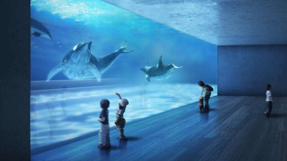 fashionpressnet's tweet photo. 「神戸須磨シーワールド」須磨海浜水族園跡地に6/1(土)オープン決定

西日本唯一、シャチのパフォーマンスやシャチをみながら食事ができるブッフェレストランなど - https://t.co/rBofjM7XGm https://t.co/HAX3axcKKu