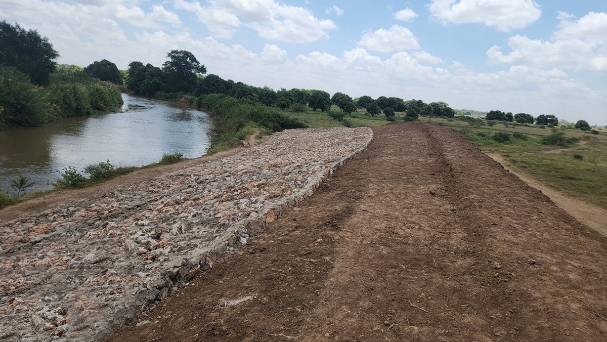@FAO is providing technical support to the Federal Gvt of Somalia under @ScrpSomalia to: 🔹Rehabilitate river embankments & canals 🔹 Improve irrigation systems 🔹 Enhance flood water drainage 🔹 Expand water access For over 50 000 riverine agropastoralist HHs #Somalia