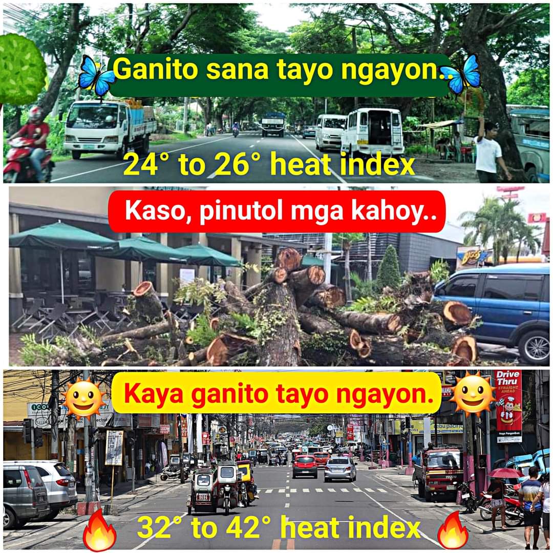YaniYanCruz's tweet photo. Salamat DPWH and DENR sa collab nyo. 
Lakas maka fire Nation ng mga highway ngaun sa Pinas. https://t.co/tJwesDi48a