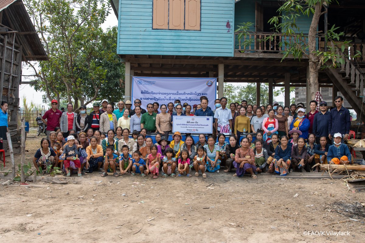 ⚠️ You receive a flood warning. How do you react❓ Communities in the Lao PDR practiced how to evacuate livestock, build animal shelters, and distribute & use watertight drums to minimize losses as part of a @FAOinLao project, supported by the EU.