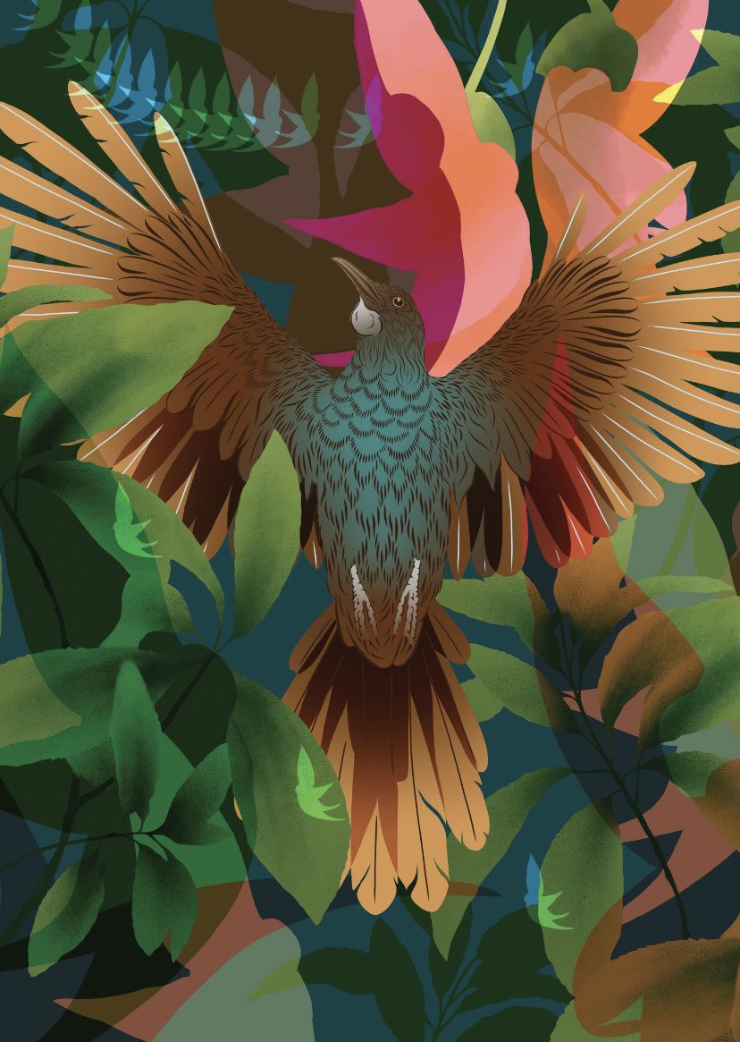 NFT AOTEAROA tweet media