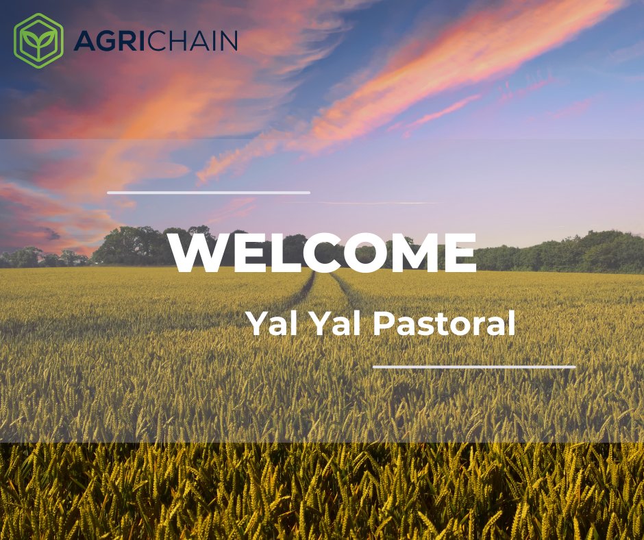 AgriChain is delighted to welcome Yal Yal Pastoral, another dedicated subscriber to our platform, streamlining their operations for a more efficient and innovative approach to agriculture. 

 #DedicatedSubscribers #AgriculturalInnovation #StreamliningOperations
