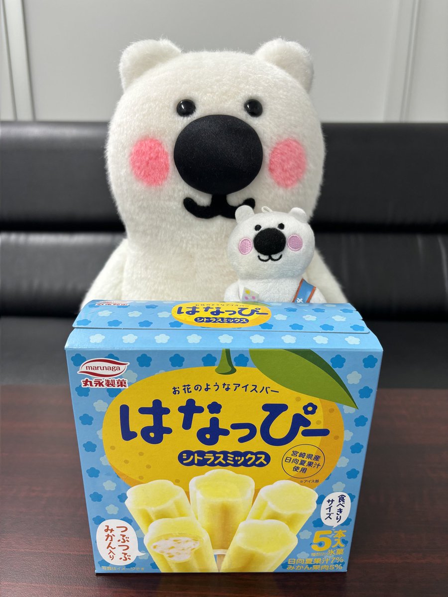 🎉新商品発売情報🎉／／ 🏵️4/22(月)発売🏵️ 🍨はなっぴーシトラス