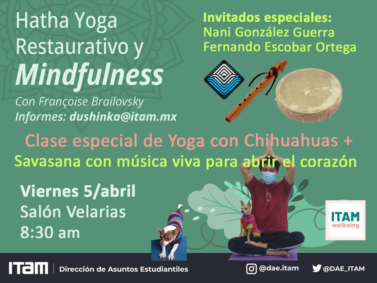 Asuntos Estudiantiles ITAM tweet media