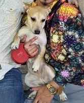 DFWTrivia's tweet image. Strokers Ice House - Live Trivia - Thursdays @ 7pm