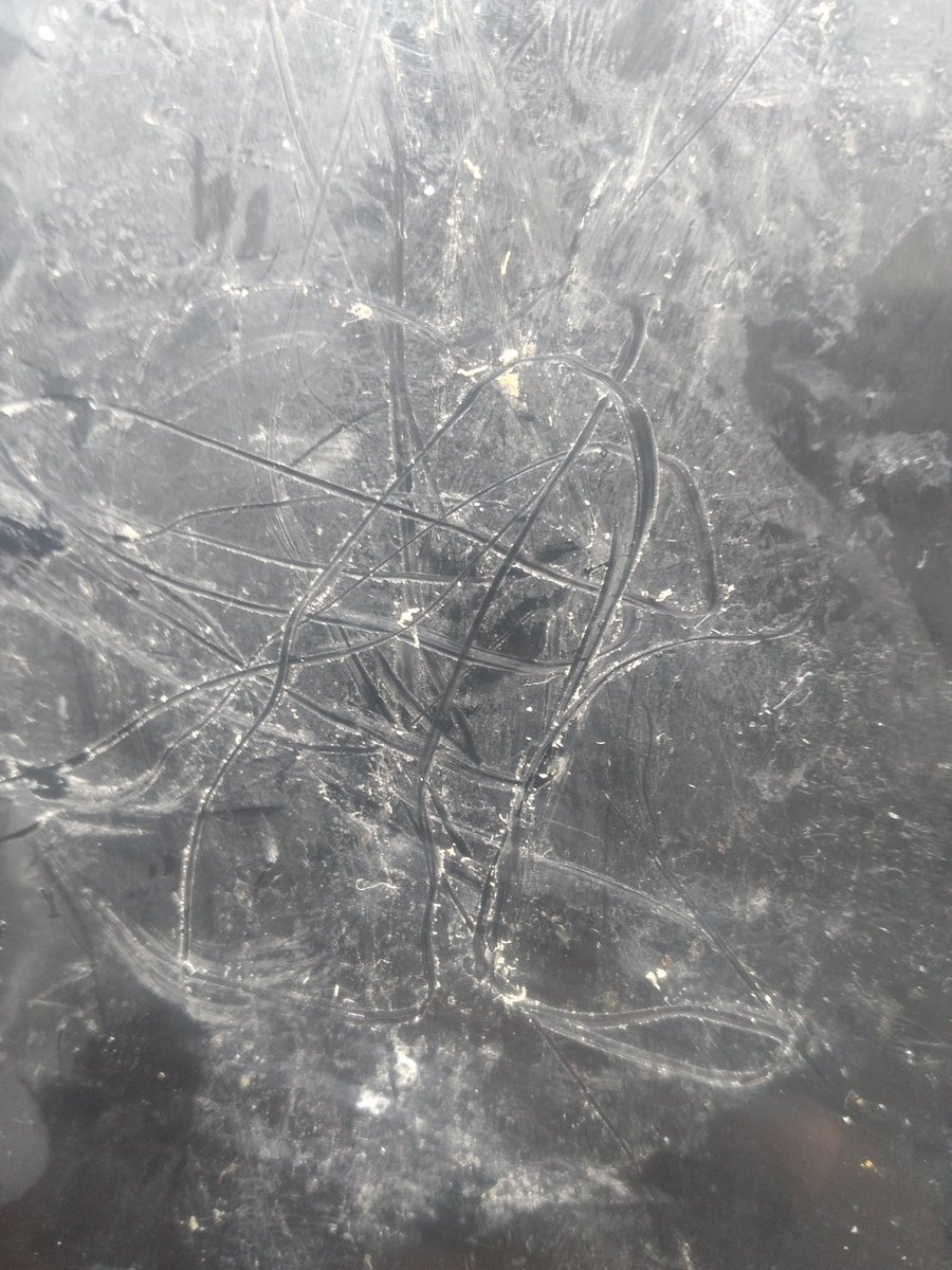 NFTs_web3➕ tweet media