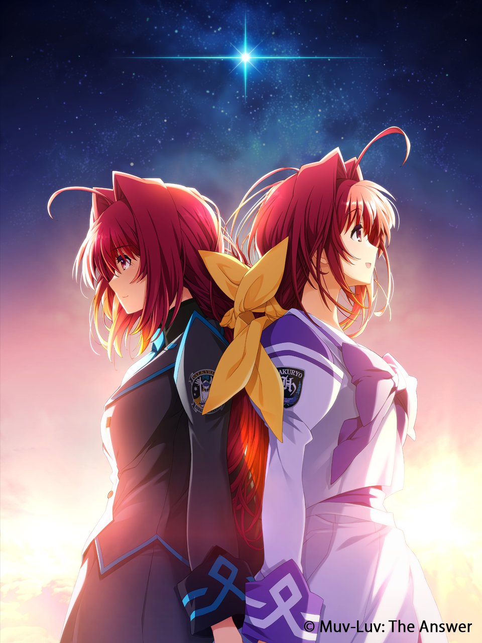 Muv-Luv(マブラヴ) 20th Odyssey Box -Switch