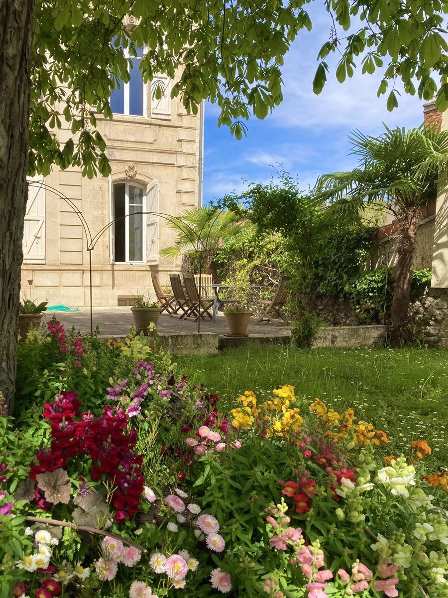 Ici le #Gers : nos jardins sont en fleurs et couleurs ! 🌸🌼🩵🌺🌷 #NatureBeauty #Occitanie #SudOuest