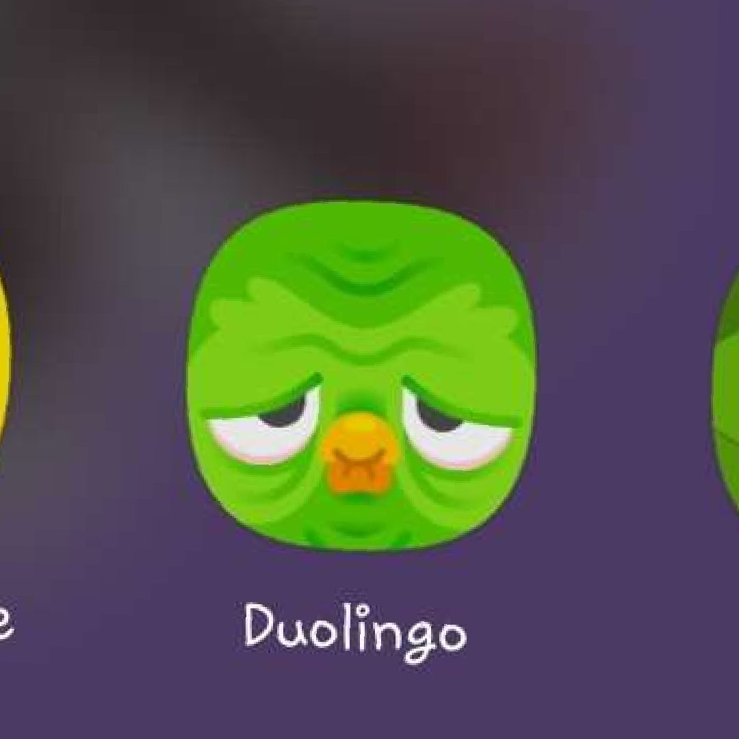 tô só o duolingo hoje 😷😵 mta febre