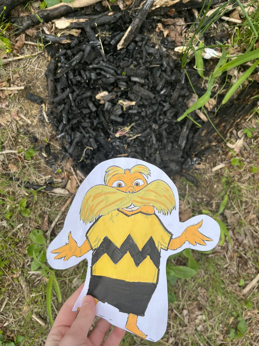 isabellastone07's tweet photo. Burning wood can pollute the air just as much as a car, so the Lorax says to avoid doing this as much as possible! #FLATLORAX #ScottBio #EarthDay2024 @BioTeachKS https://t.co/4YdTctNSOL