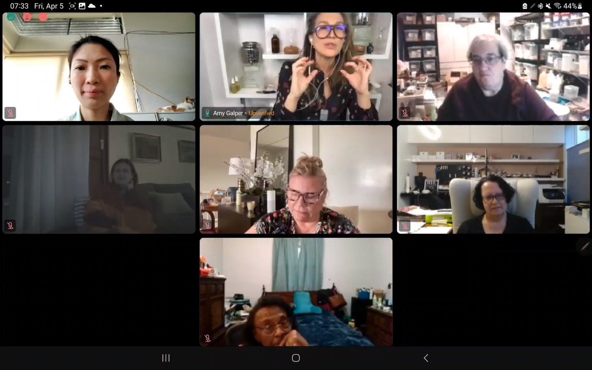 There are days you just have to have a split screen and be in two meetings at the same time.

My function in AIA is just as important as attending IFPA meetings.

 #buhayaromatherapist