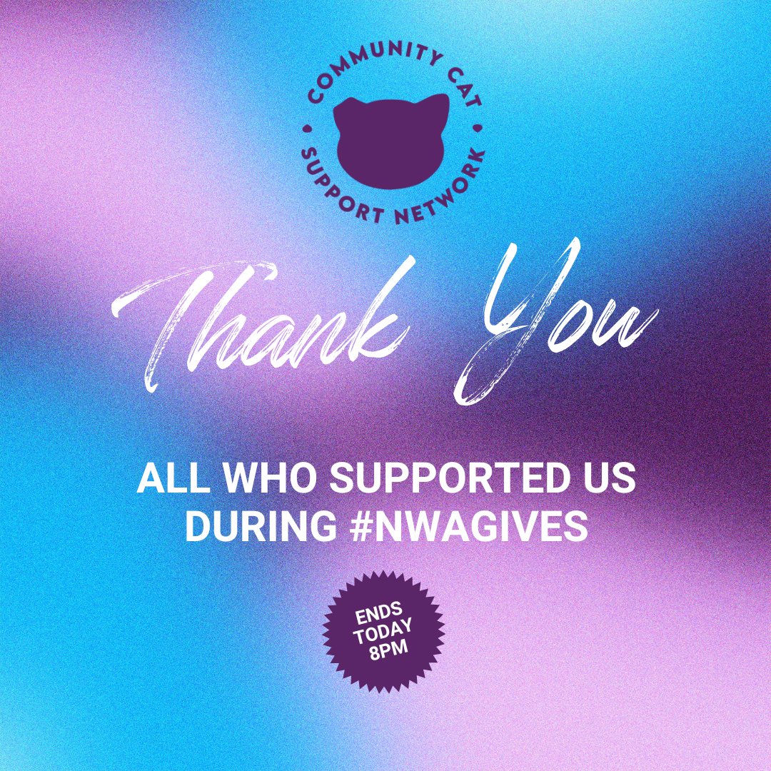 Thank you all for your support throughout the day! While it looks like we will fall slightly short of our goal, your generosity and sharing mean the world to us. Every contribution makes a real difference for the cats we assist. 🐈‍⬛💙💜