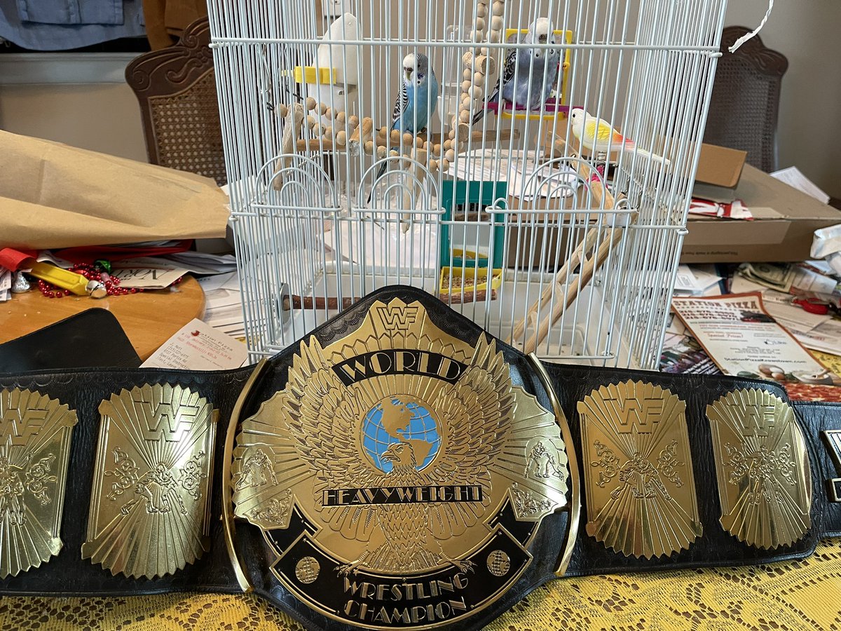 @SheilaShowPHL @itsBayleyWWE @WWENetwork @discoverPHL @visitphilly The Ultimate Budgies, Spot and Sneak are ready for #WrestleMania!