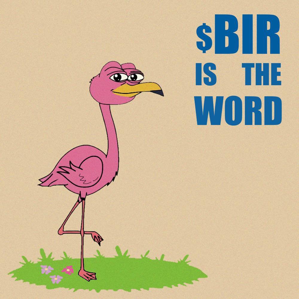 Whats the word?

$BIR $SOL #SOLANA

CTO: t.me/bironsolana