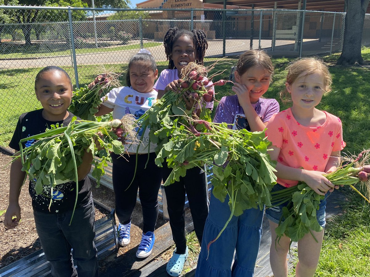 Mary Kroll tweet media