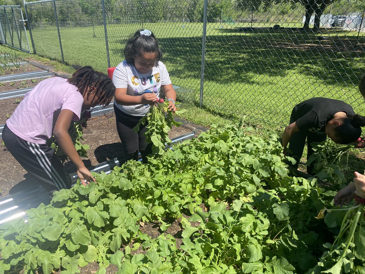 Mary Kroll tweet media