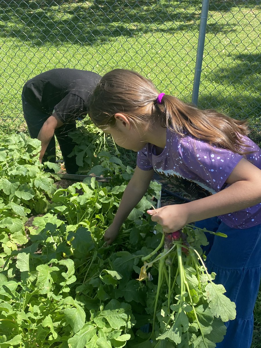 Mary Kroll tweet media