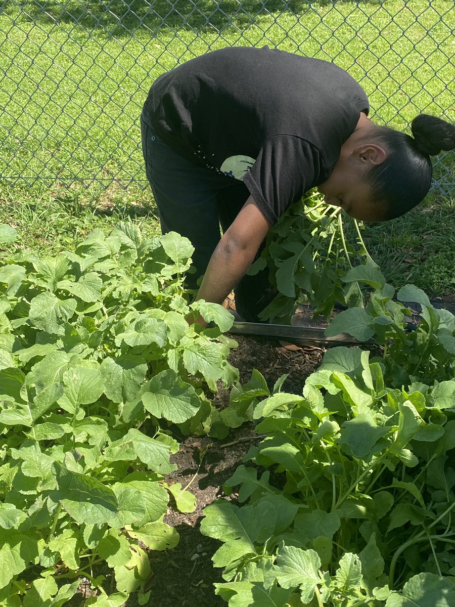 Mary Kroll tweet media