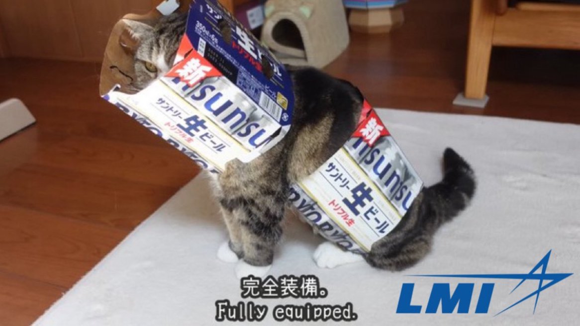 LMI_SOL's tweet photo. cat szn. 

how about you take a chance? 

$LMI https://t.co/0sgJZoOwbu
