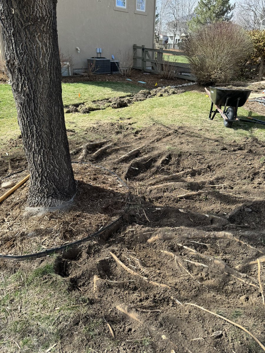 Dan from Spotted Model: Cars & Tech tweet media