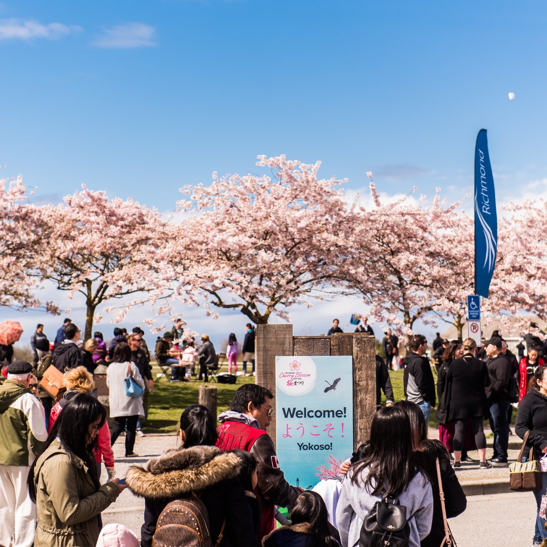 🌸🌸 The Richmond Cherry Blossom Festival takes place this Sunday in #StevestonVillage. Be there between 11:00am - 4:00pm to experience the beauty of Japanese culture beneath Garry Point Park's famous Cherry Trees! Learn more ➡️ bit.ly/3udWVSu @FunRichmond #RichmondBC