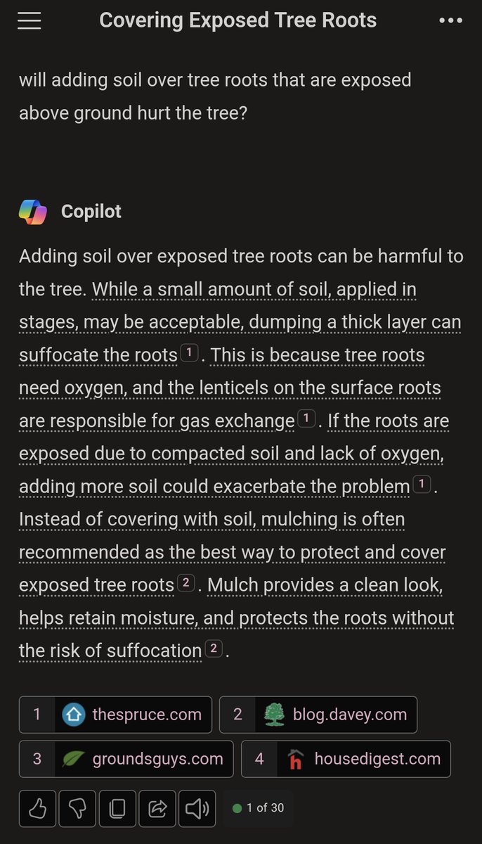 Thomas Fennel tweet media