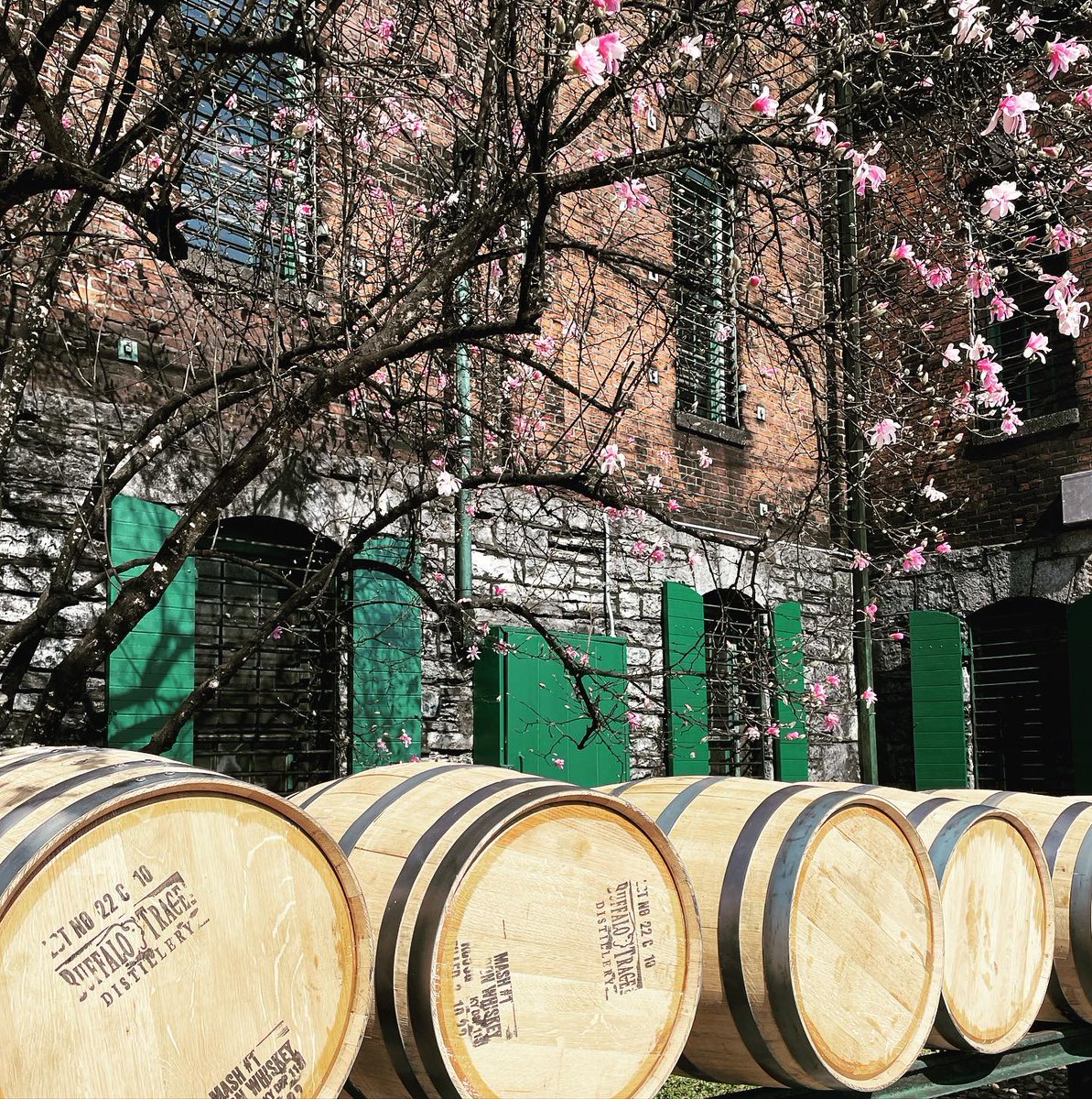 The grounds of Kentucky distilleries are beautiful in the spring!🌸🥃 Start planning your #travelKY distillery tour here: bit.ly/45xaj3U 📸 matsongilman 📍 Buffalo Trace Distillery (@visitfrankfort)