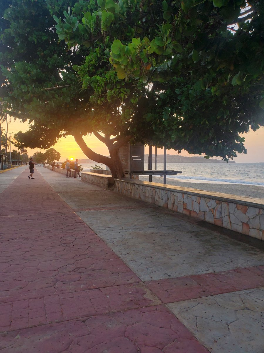 Militza04's tweet photo. El atardecer de hoy #lechería #playaloscanales https://t.co/g3K37LG23l