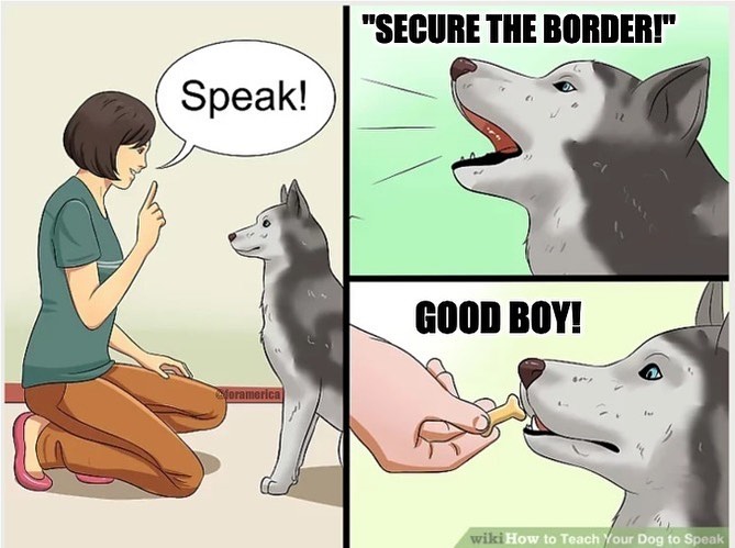 Who's a good boy ? 🐶   #BorderSecurity